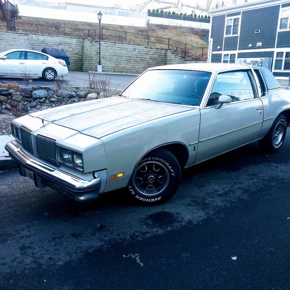 Meet your Posher, Rustin - Picture 1 of 1